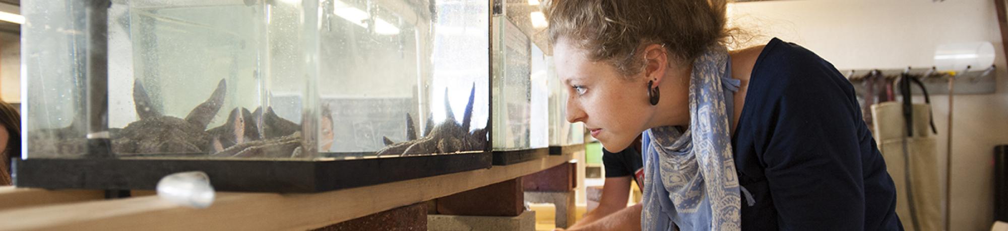 Researcher and aquarium