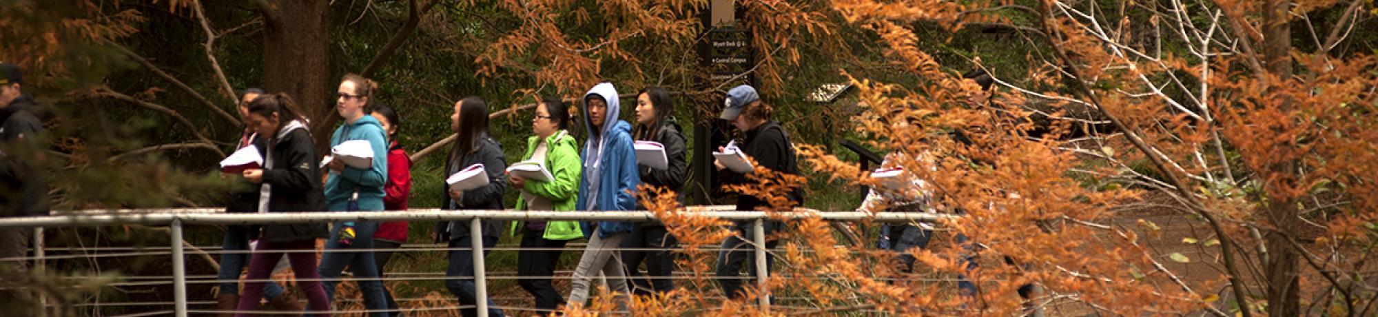 Students Walking