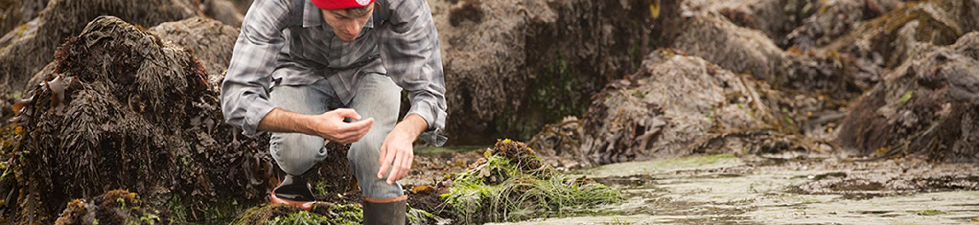 Student in tide pool