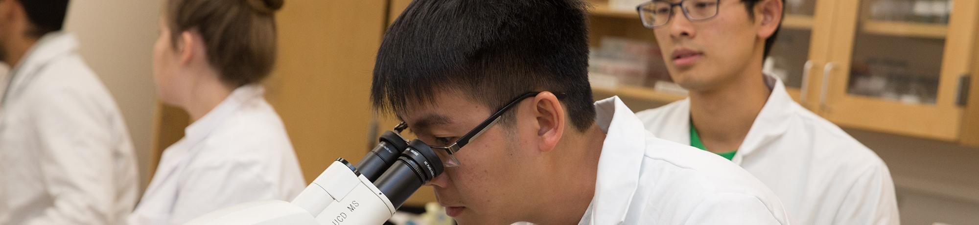 Male student looking into a microscope in a lab class.
