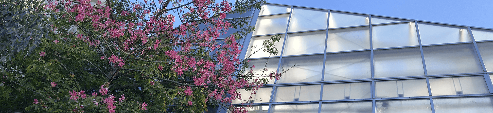 Sciences lab building greenhouse