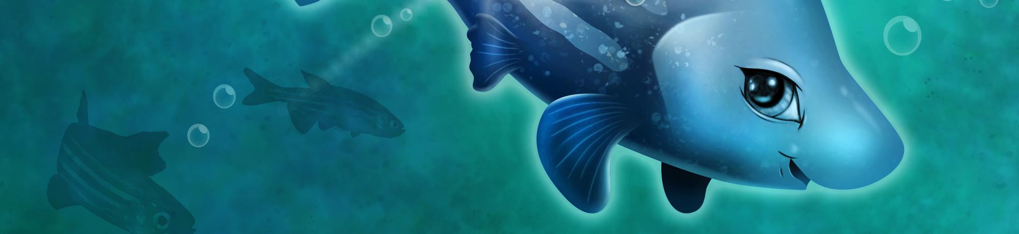 Zebrafish illutration